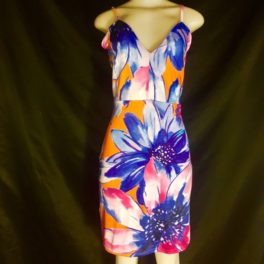 Secret Garden Spring Dress